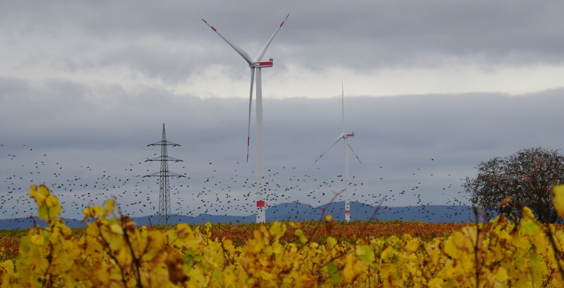 EU poziv 980 miliona evra infrastruktura zelena energija