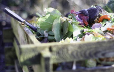 Rok za prijave za Izazov za upravljanje bio-otpadom produzen do 15. maja