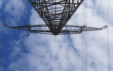 ELES aukciju gubitak