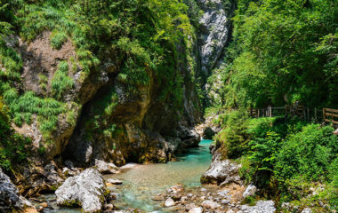 Protest-za-vodu-vazduh-sume-zemlju-Beograd