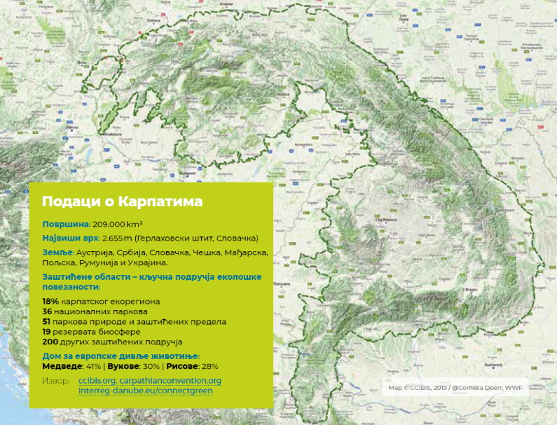 Spasavaju medvede, risove, vukove Karpati