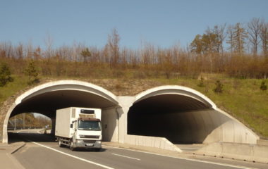 Zeleni mostovi preko auto-puta i pruge spasavaju medvede, risove, vukove