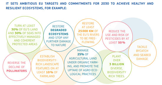 Graph_Erg Biodiversity