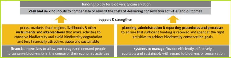 Promisljanje finansijske odrzivosti biodiverzitet