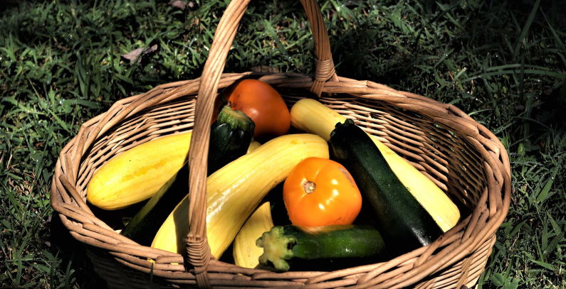 Jul je mesec bez plastike – umesto jednokratne ambalaze