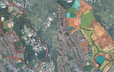 U planu seca sume u kompleksu Avala filma Kosutnjaku