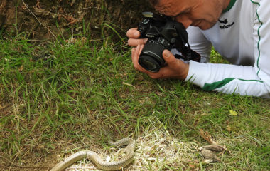 istrazivanje-flora-fauna-neretva