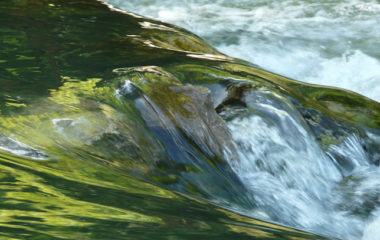 komarnica koncesija vlada crne gore