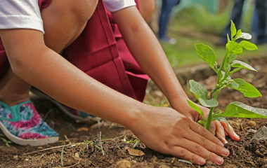 Podneta-inicijativa-Ustavni-sud-ukidanje-eko-takse-u-Srbiji