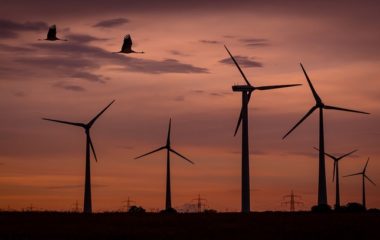 Sud zaustavio projekat vetroelektrane Vrataruša 2