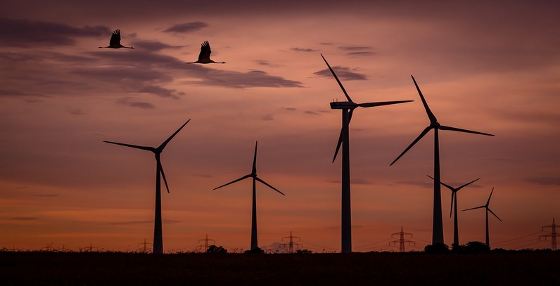 Sud zaustavio projekat vetroelektrane Vrataruša 2
