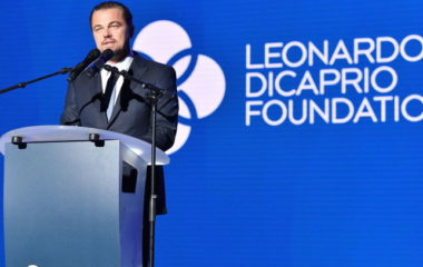 Leonardo DiCaprio zabranu novih malih hidroelektrana FBiH
