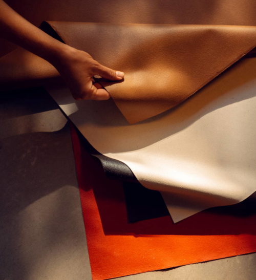 Otpaci voca vestacku kozu