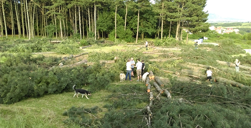 Park Borici Petlovo brdo seca 2018