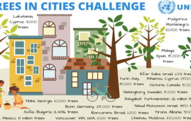 Gradovi Trees in Cities 11 miliona sadnica drveca