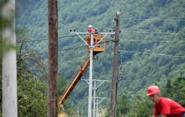 cedis tender revitalizacija mreze