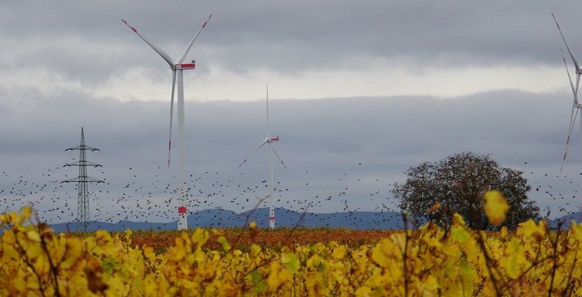 IUCN smernice uticaja vetroparkova solarnih elektrana biodiverzitet