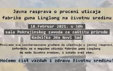 linglong javna rasprava ekoloska studija