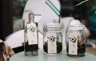 Pointless films sunce nikad vise pointless baste