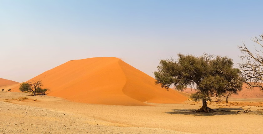 Saudijska Arabija sadnje 50 milijardi stabala