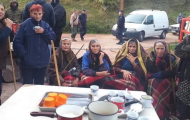 Strucnjakinje aktivistkinje ruze cveta pobuna