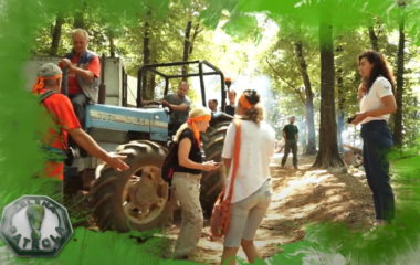 Film NP Fruska Gora Ode nasa suma pobedio americkom festivalu