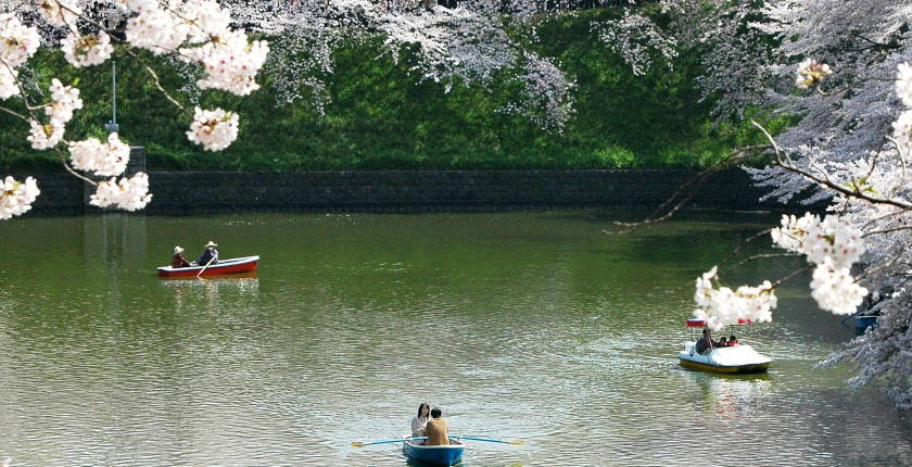 Tresnje u Japanu procvetale najranije istoriji klimatskih promena