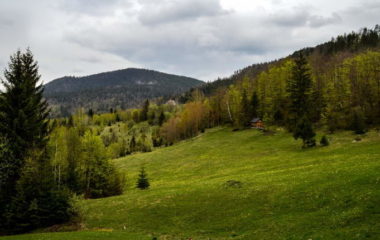 Vlada Srbije za ekologiju odvojila jos 3,6 milijardi dinara