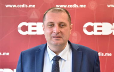vladimir cadjenovic cedis direktor