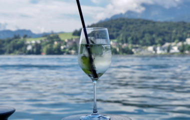 Evropsku asocijaciju somelijera za vodu Bledski festival vode