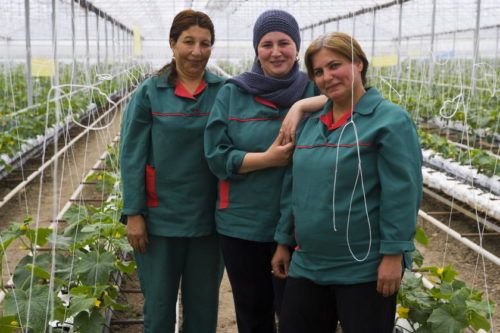 Kriza pandemije je prilika GGF odrzivi rast intervju Olaf Zymelka Green for Growth Fund