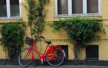 Sutra pocinje prijavljivanje za subvencije za kupovinu bicikala u Novom Sadu