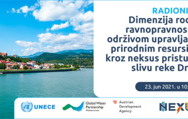 UNECE radionica rodna dimenzija sliv reke Drine 23.jun 2021.