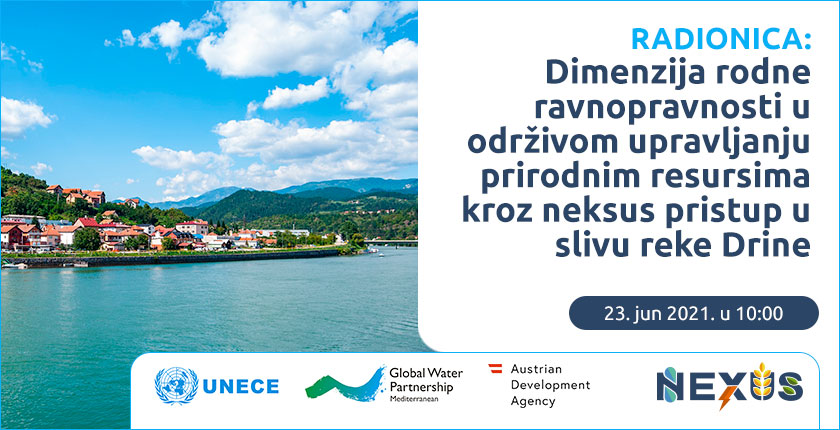 UNECE radionica rodna dimenzija sliv reke Drine 23.jun 2021.