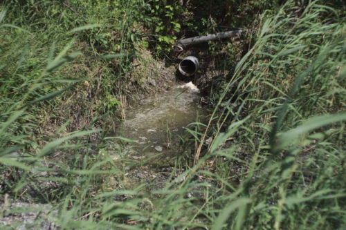 otpad Perlezu odneli gradonacelniku Zrenjanina