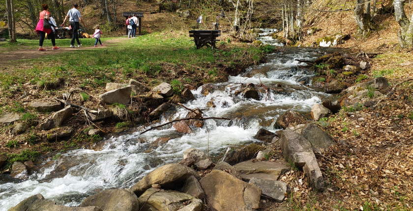 slovenija odrzava referendum o pijacoj vodi