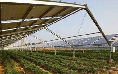 Fintel energija i MK group u okviru projekta Agrosolar Kula grade najvecu solarnu elektranu u Evropi snage 660 MW