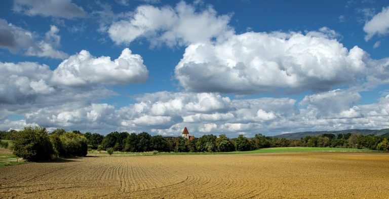 Srbija omogucila zakup drzavne poljoprivredne zemlje za gradnju vetroparkova i solarnih elektrana