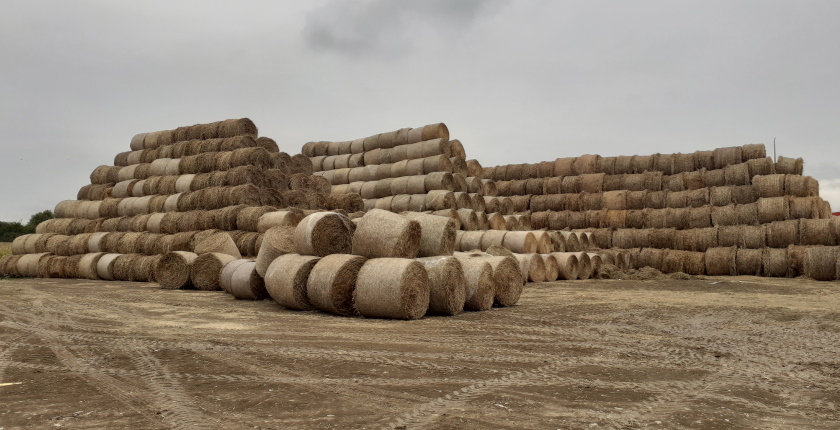 SET Green Technology gradi cetiri elektrane na biogas u sapcu slama