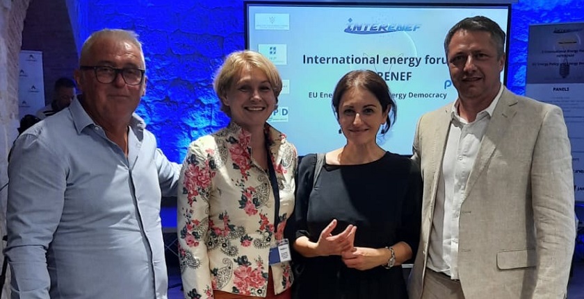 nadezda kokotovic autorski tekst demokratizacija energetike