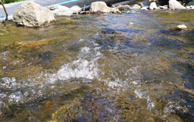 Sta donosi nacrt novog zakona o obnovljivim iizvorima energije u Republici Srpskoj