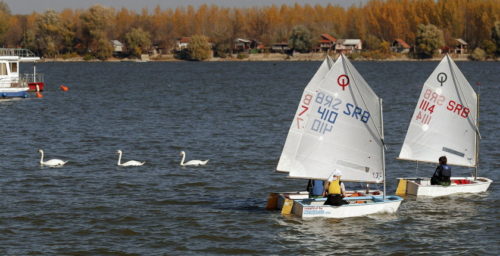 Ciscenje Dunava - jedrilicari Fondacije Leptir