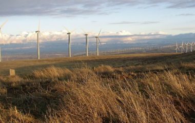 Ivicom kod Kuceva drugu vetroelektranu Srbiji