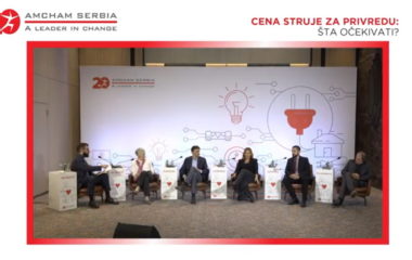 cene struje vlada zakljucak diskusija amcham