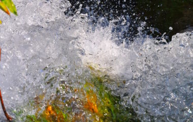 EFT Dongfang solarna elektrana Bileća