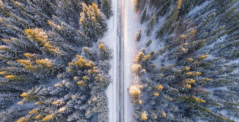 anketa zivotna sredina zagadjenje vazduha najveci problem zivotne sredine srbija