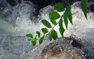 U Crnoj Gori tužba protiv države za mini hidroelektranu i raskidi ugovora o koncesiji