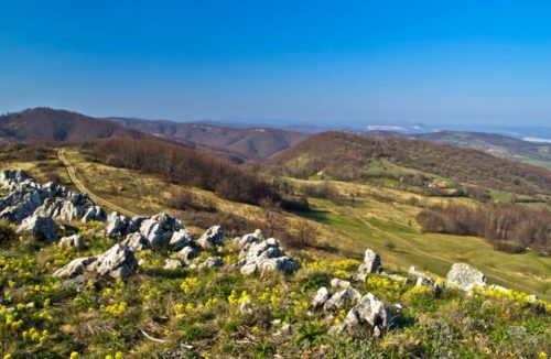 Homoljskom kraju preti devastacija cijanidom sa rudnikom zlata Potaj čuka