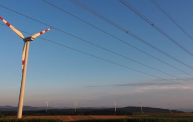 Medunarodne institucije Vlade Srbije odlaze primenu Zakona OIE