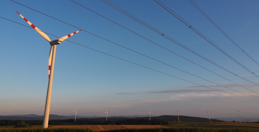 Medunarodne institucije Vlade Srbije odlaze primenu Zakona OIE